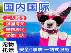 昆明长水航空邮寄国际宠物托运 【国